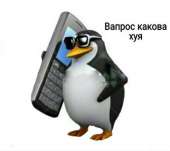 486x433