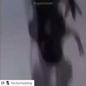 360x360