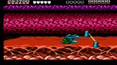 856x480