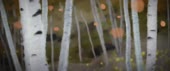 1920x802