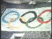 320x240