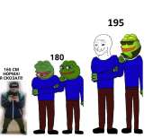 1350x1228