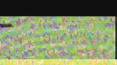 800x450
