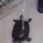360x360