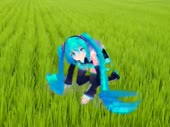 480x360