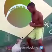 360x360