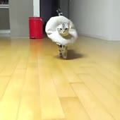 360x360