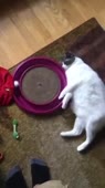 360x640