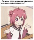521x604