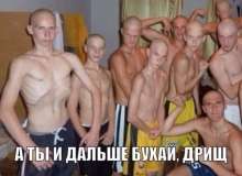 500x365