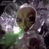 360x360