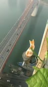 360x640