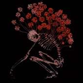 1200x1200