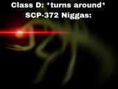 933x710