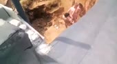 480x264