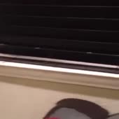 360x360