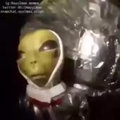 360x360