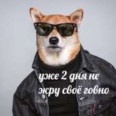 960x960