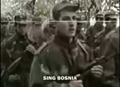 300x220