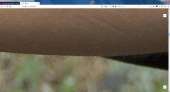 1280x693