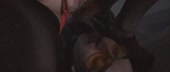 1016x436