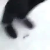 240x240