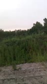 406x720