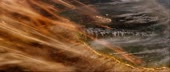 1280x544