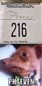 373x750