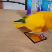 720x720