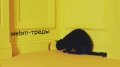 1280x720