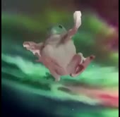 368x360