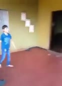262x360