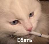 720x644