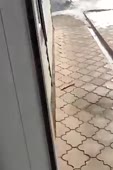 240x360