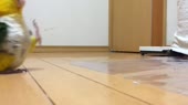 640x360