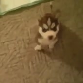 360x360