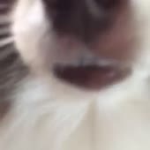 360x360