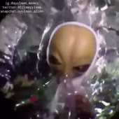 360x360