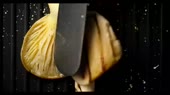 640x360