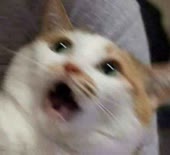 400x366