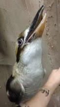 360x640