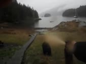 480x360