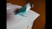 400x224