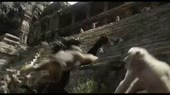 640x360
