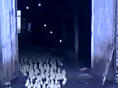 320x240