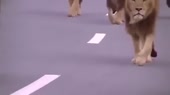 400x224