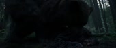 1200x502