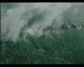 450x360