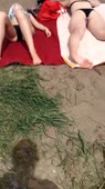450x800